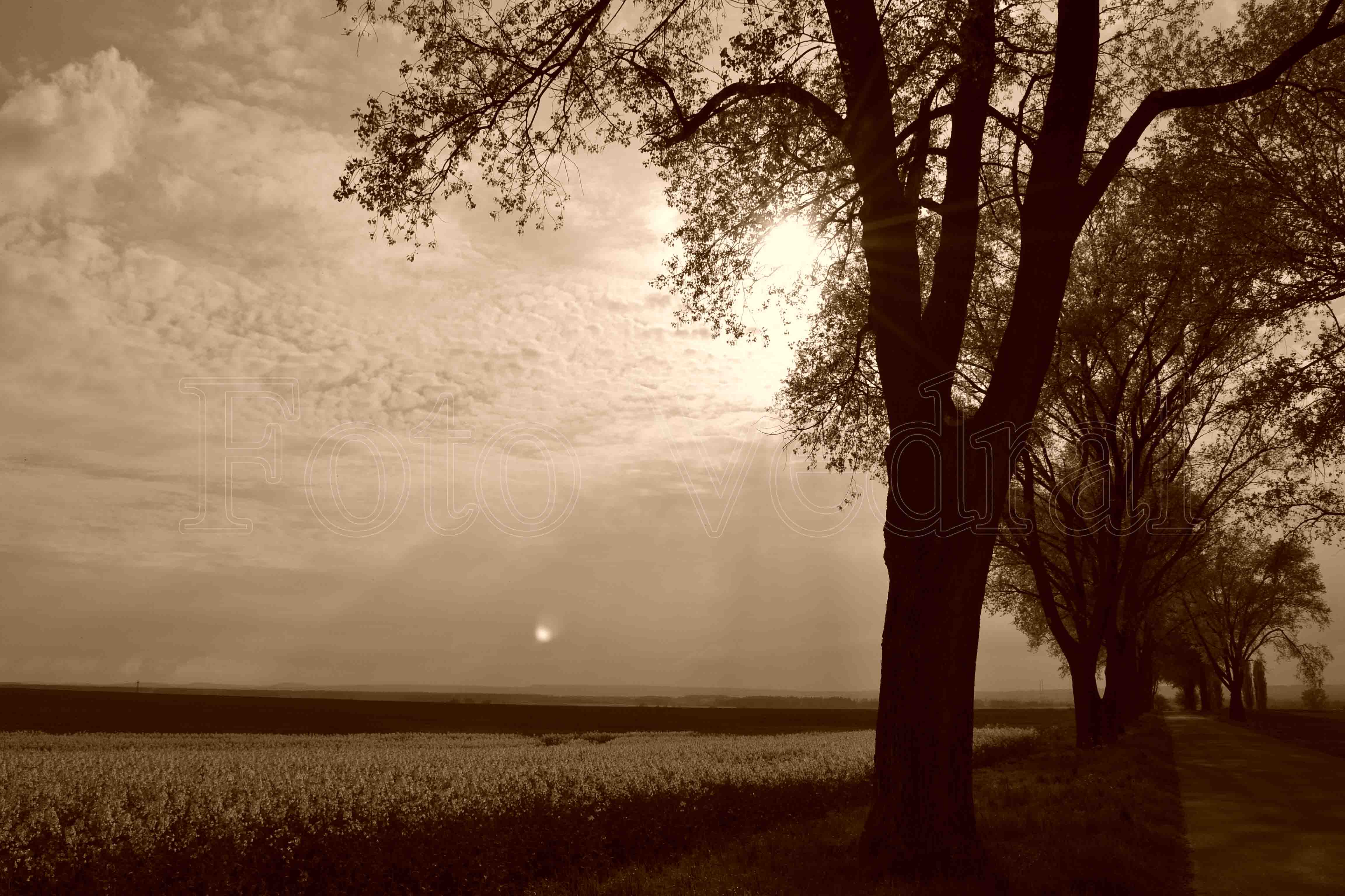 záběh nikon 2014 1744 kopie